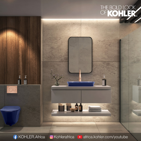 Modern & Stylish: Your Ultimate Guide to Toilet Accessories in Kenya
